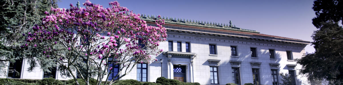 Decorative image of Cal Hall and a magnolia tree
